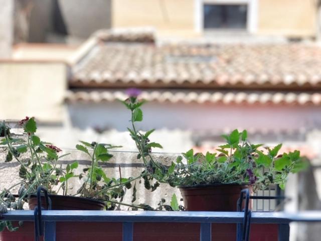 Old Terrace Apartment Catania