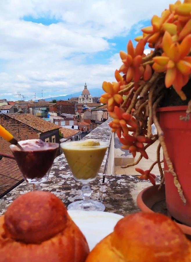Old Terrace Apartment Catania